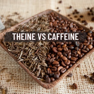 caffeine vs theine