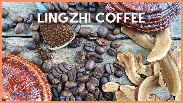 lingzhi coffee